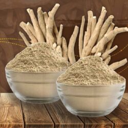 Ashwagandha Organic Root Powder Supplier