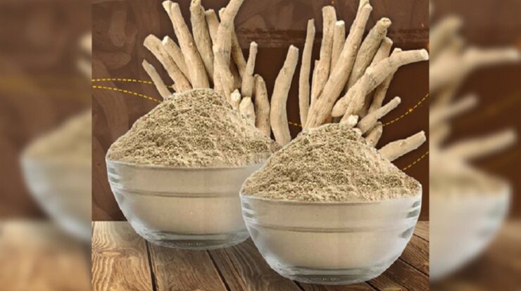 Ashwagandha Organic Root Powder Supplier